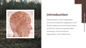 703588-Deforestation-PowerPoint-Templates-Free-Download_02