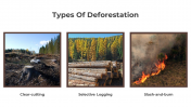 703588-Deforestation-PowerPoint-Templates-Free-Download_04
