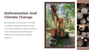 703588-Deforestation-PowerPoint-Templates-Free-Download_07