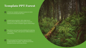 Editable Template PPT Forest Presentation Slide Design