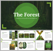 Attractive Forest PowerPoint and Google Slides Templates
