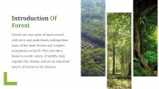 703593-Slide-Forest-Free-Template_02