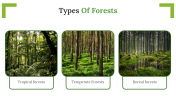 703593-Slide-Forest-Free-Template_03