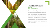 703593-Slide-Forest-Free-Template_04