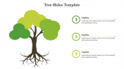 Amazing Tree Slides Template For PPT Presentation Design