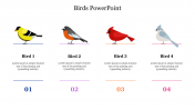 Attractive Birds PowerPoint Presentation Template