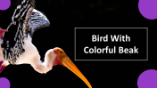 Bird With Colorful Beak PowerPoint and Google Slides Themes