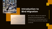 703870-Bird-Migration-PPT-Presentation_02