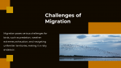 703870-Bird-Migration-PPT-Presentation_10