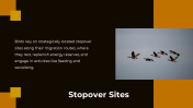 703870-Bird-Migration-PPT-Presentation_11