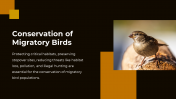 703870-Bird-Migration-PPT-Presentation_14