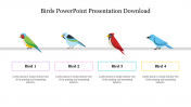 Download Birds PowerPoint Presentation and Google Slides