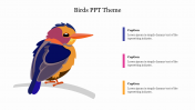 Innovative Birds PPT Theme Presentation Template
