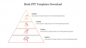 Free - Birds PPT Templates Download With Pyramid Design