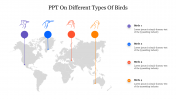 PowerPoint On Different Types Of Birds and Google Slides