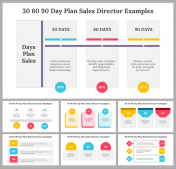 30 60 90 Day Plan Sales Director Examples PowerPoint