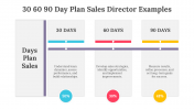 704071-30-60-90-Day-Plan-Sales-Director-Examples_01