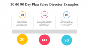 704071-30-60-90-Day-Plan-Sales-Director-Examples_02