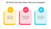 704071-30-60-90-Day-Plan-Sales-Director-Examples_03