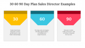 704071-30-60-90-Day-Plan-Sales-Director-Examples_04
