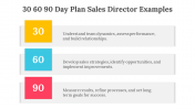 704071-30-60-90-Day-Plan-Sales-Director-Examples_05