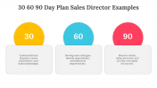 704071-30-60-90-Day-Plan-Sales-Director-Examples_06