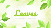 Leaves Background PowerPoint and Google Slides Themes