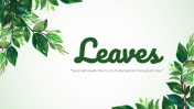 704115-Leaves-PowerPoint-Background_02