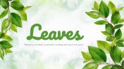 704115-Leaves-PowerPoint-Background_03