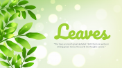 704115-Leaves-PowerPoint-Background_05