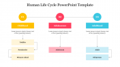 Sample Of Human Life Cycle PowerPoint Template