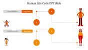 Creative Human Life Cycle PPT Slide For Presentation