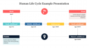 Example Of Human Life Cycle Example Presentation