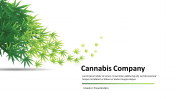 Cannabis Company Investor Pitch Deck PPT and Google Slides