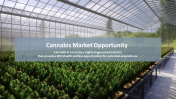 704705-Cannabis-Company-Investor-Pitch-Deck_07