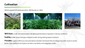 704705-Cannabis-Company-Investor-Pitch-Deck_11