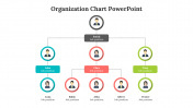 Best Organization Chart PowerPoint And Google Slides