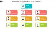 Professional organization chart template for presentation