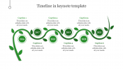 Timeline In Keynote Template Slide PPT Presentation