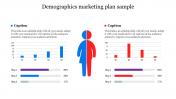 Try Demographics Marketing Plan Sample Presentation
