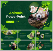 Creative Animals PowerPoint And Google Slides Templates