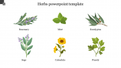 Best Herbs PowerPoint Template Presentation PPT Slides