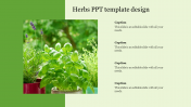 Herbs PPT Template Design PowerPoint Presentation Slides