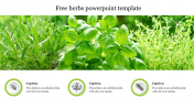 Free Herbs PowerPoint Template & Google Slides Presentation