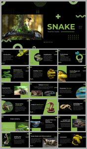 Snake PowerPoint Presentation And Google Slides Templates