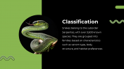 79442-Snake-PowerPoint-Template_03