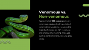 79442-Snake-PowerPoint-Template_05