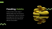 79442-Snake-PowerPoint-Template_06