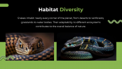 79442-Snake-PowerPoint-Template_09