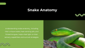 79442-Snake-PowerPoint-Template_14